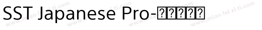 SST Japanese Pro字体转换